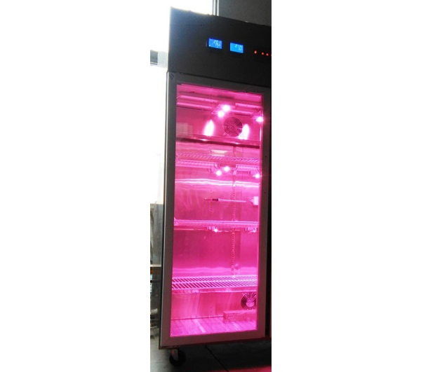 HSR500LED3-CO2红蓝光LED二氧化碳人工气侯箱